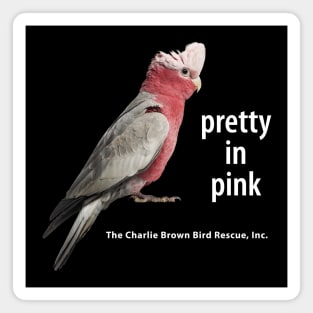 CB Rosie Pretty in Pink Magnet